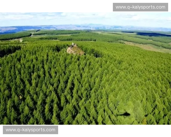 绿茵场上的“冰与火之歌”:澳大利亚的硬核霸权对阵阿曼的沙漠奇迹